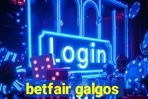 betfair galgos